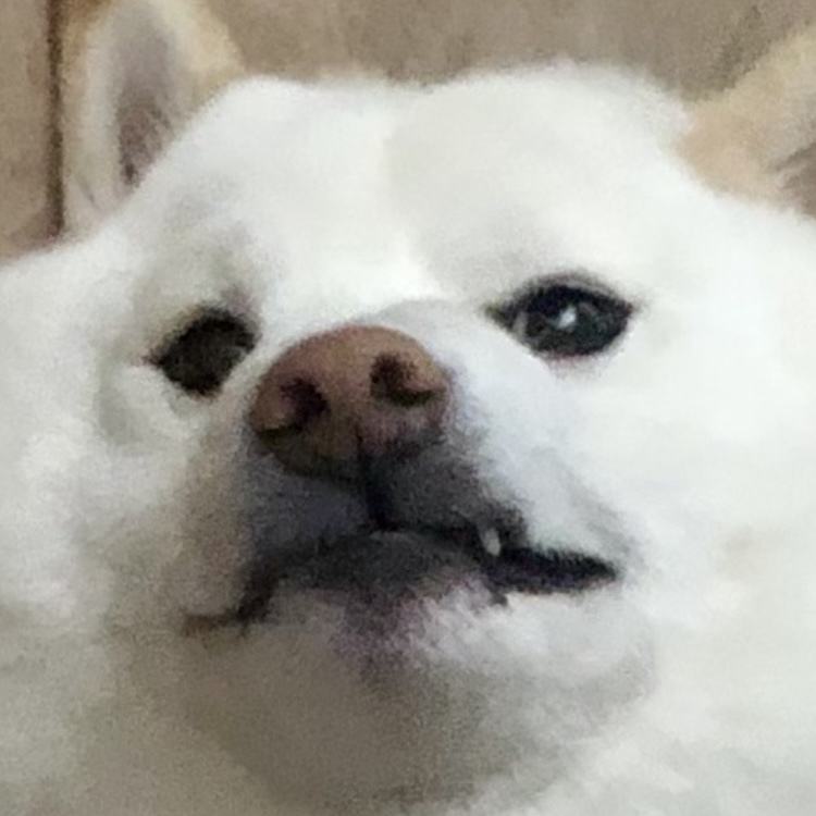 高井 圭