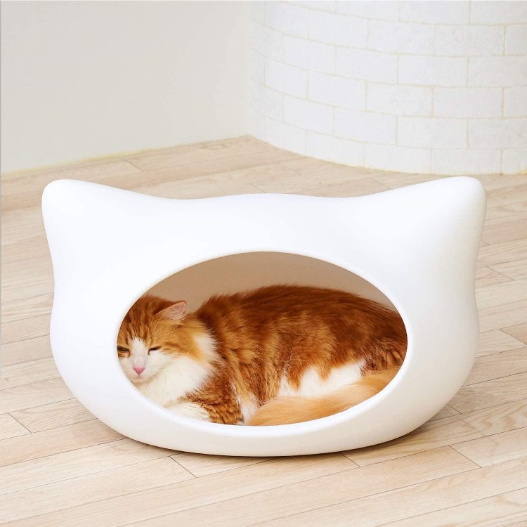 猫用品のイメージ