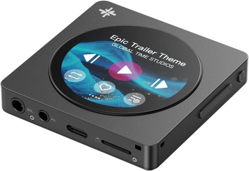 フィーオ(FiiO) Snowsky DISC FIO-SSDISC
