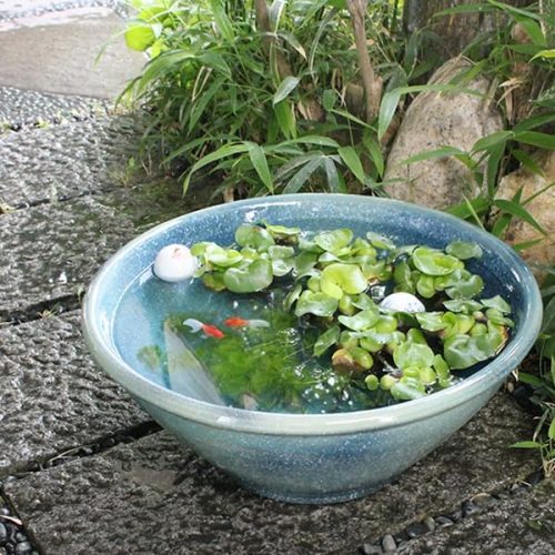 まるいち本店 信楽焼 16号ブルーガラス水鉢 su-0165