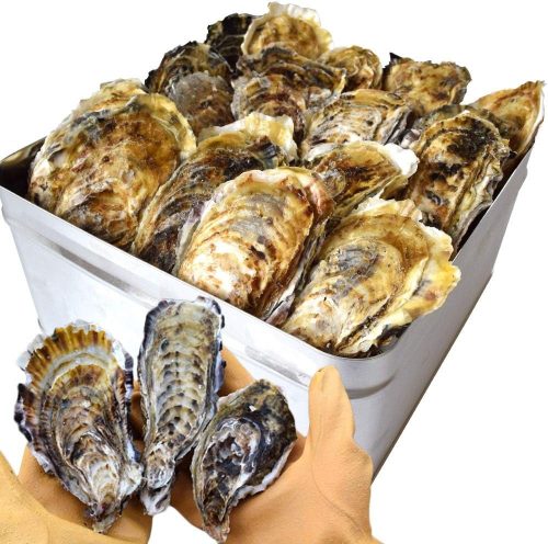 伊勢鳥羽志摩特産横丁 牡蠣 カンカン焼き セット サイズ無選別 2kg