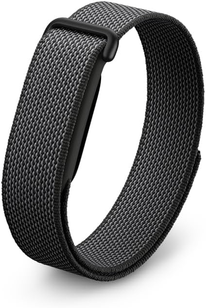 Google Fitbit Air