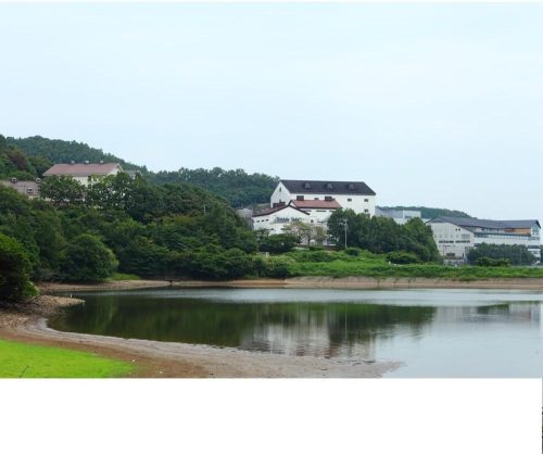 産地をチェック