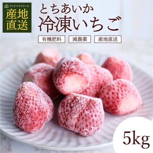 ウッドベルファーム とちあいか 冷凍いちご