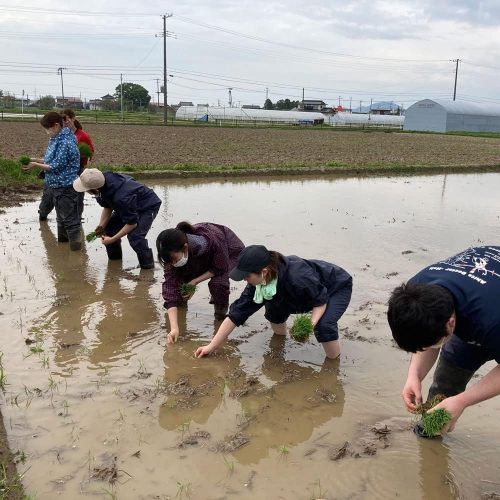 生産地をチェック