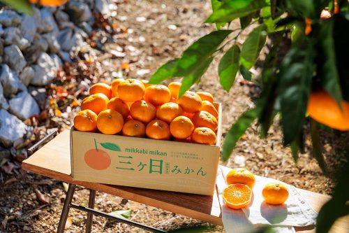 原産国をチェック