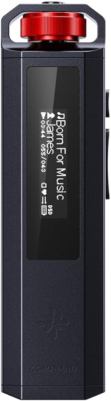 フィーオ(FiiO) ポータブルオーディオプレイヤー FIO-SSENANO