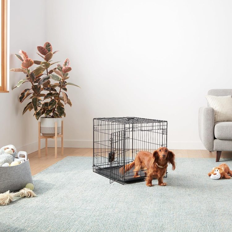 犬用品のイメージ