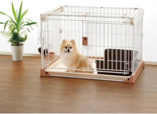 小型犬にケージは必要？サークルとの違いも解説