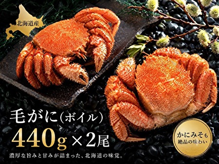 北海道網走水産 毛がに ボイル 440g×2尾