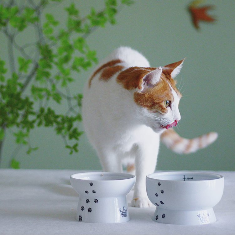 猫用品のイメージ