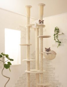 大型猫におすすめのキャットタワー20選。しっかり安定感のあるモデルもご紹介