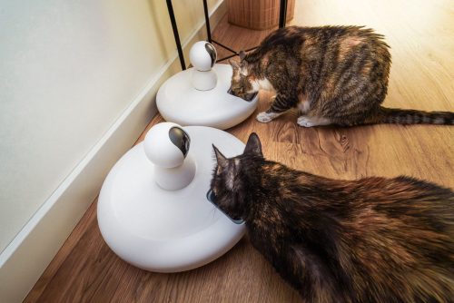 飼い主の声を聞かせられる「マイク・スピーカー機能」