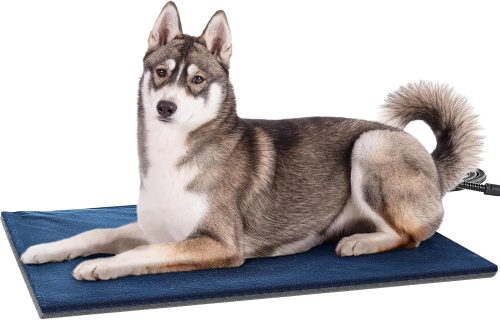 愛犬に合わせたサイズを選ぶ