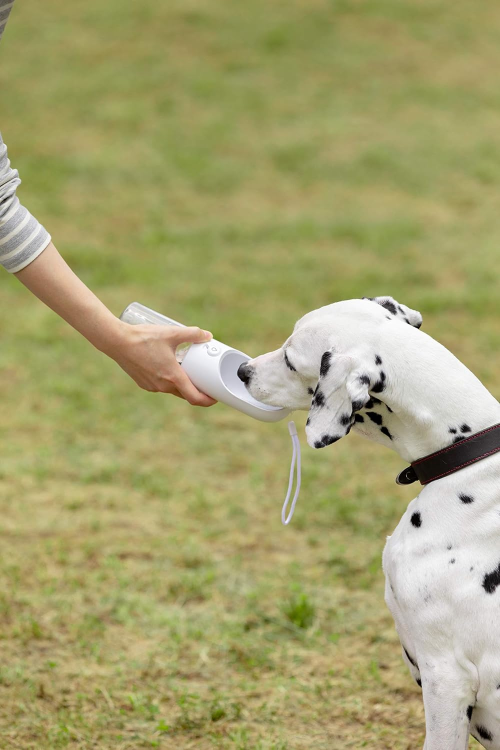 犬のお散歩におすすめの給水ボトル19選。ペットボトルに対応したモノもご紹介